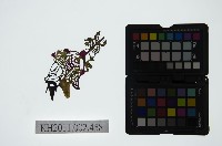 皮影戲偶頭-淨藏品圖，第1張