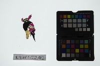 皮影戲偶頭-末藏品圖，第1張