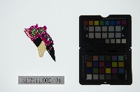 皮影戲偶頭-雜藏品圖，第1張