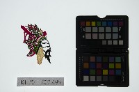 皮影戲偶頭-末藏品圖，第1張