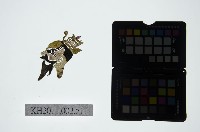 皮影戲偶頭-末藏品圖，第1張