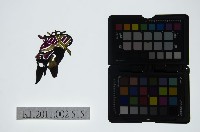 皮影戲偶頭-末藏品圖，第1張