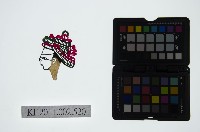 皮影戲偶頭-生藏品圖，第1張