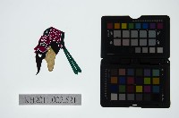 皮影戲偶頭-末藏品圖，第1張