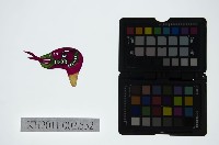 皮影戲偶頭-雜藏品圖，第1張