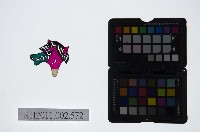 皮影戲偶頭-雜藏品圖，第1張