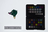 皮影戲偶頭-雜藏品圖，第1張