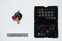 皮影戲偶頭-雜藏品圖，第1張