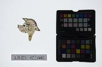 皮影戲偶頭-雜藏品圖，第1張