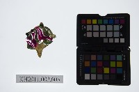 皮影戲偶頭-雜藏品圖，第1張