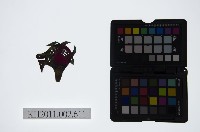 皮影戲偶頭-雜藏品圖，第1張