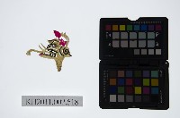 皮影戲偶頭-雜藏品圖，第1張