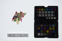 皮影戲偶頭-雜藏品圖，第1張