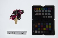 皮影戲偶頭-雜藏品圖，第1張