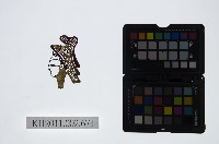 皮影戲偶頭-旦藏品圖，第1張