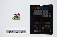 皮影戲戲服-戲帽藏品圖，第1張