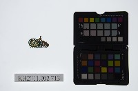 皮影戲戲服-戲帽藏品圖，第1張