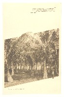 明信片（高雄神社、壽山宮之台、高雄停車場、高雄港岸壁、香蕉碼頭、下淡水溪鐵橋、椰子樹林、高雄的麗觀）藏品圖，第7張