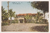 明信片（高雄神社、高雄溫浴場、高雄驛椰子樹、新濱町街道椰子樹、銀座通街道、金鵄館前通街道、大橋通、泥火山）藏品圖，第3張