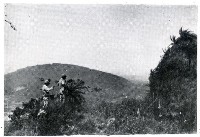 高雄州小崗山藏品圖，第1張