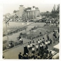 宗教遊街活動於鹽埕區陸軍服務社前藏品圖，第1張