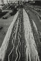 登錄號:KH2012.003.0008藏品圖，第1張