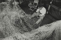 登錄號:KH2012.003.0010藏品圖，第1張