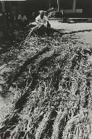 登錄號:KH2012.003.0077藏品圖，第1張