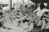 登錄號:KH2012.003.0083藏品圖，第1張