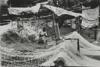 登錄號:KH2012.003.0098藏品圖，第1張