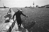 登錄號:KH2012.004.0062藏品圖，第1張