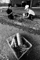 登錄號:KH2012.004.0079藏品圖，第1張