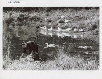 登錄號:KH2012.005.0013藏品圖，第1張