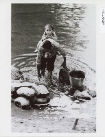 登錄號:KH2012.005.0017藏品圖，第1張