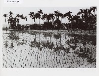 登錄號:KH2012.005.0020藏品圖，第1張