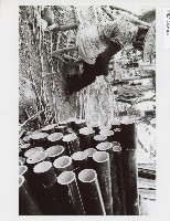 登錄號:KH2012.005.0025藏品圖，第1張