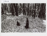 登錄號:KH2012.005.0028藏品圖，第1張