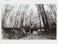 登錄號:KH2012.005.0029藏品圖，第1張