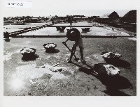 登錄號:KH2012.005.0033藏品圖，第1張