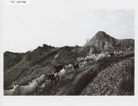 登錄號:KH2012.005.0048藏品圖，第1張