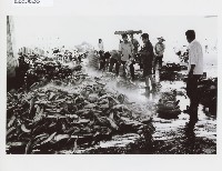 登錄號:KH2012.005.0065藏品圖，第1張