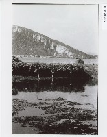 登錄號:KH2012.005.0106藏品圖，第1張