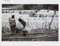 登錄號:KH2012.005.0108藏品圖，第1張