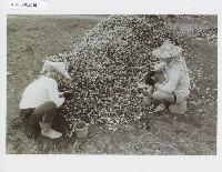 登錄號:KH2012.005.0116藏品圖，第1張