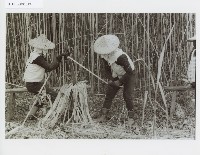 登錄號:KH2012.005.0117藏品圖，第1張