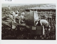 登錄號:KH2012.005.0129藏品圖，第1張