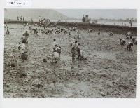 登錄號:KH2012.005.0130藏品圖，第1張