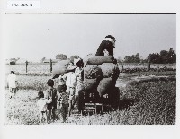 登錄號:KH2012.005.0140藏品圖，第1張