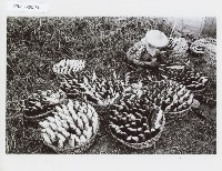 登錄號:KH2012.005.0155藏品圖，第1張