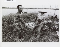 登錄號:KH2012.005.0156藏品圖，第1張